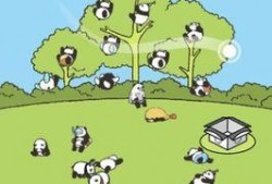 熊猫饲养员最新爆料下载