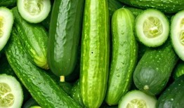 最新黄瓜爆料图片高清,最新黄瓜品种惊艳亮相，绿色革命引领农业新潮流