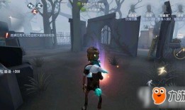 第五人格小情侣爆料视频,甜蜜互动，揭秘游戏背后的浪漫故事