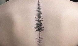 刺青 韩国在线观看,韩国惊悚悬疑，在线观看揭秘神秘纹身之谜