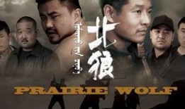 北狼电影在线观看免费,畅享影视盛宴，尽在指尖