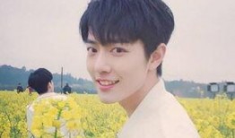 石凯私生爆料视频,背后惊人真相曝光