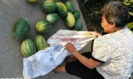 吃瓜最新事件爆料新沂,吃瓜群众揭秘最新事件内幕