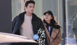 网友爆料吴磊事件视频,网友热议真相与争议