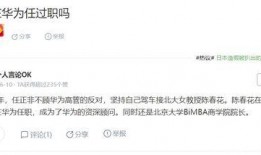 陈春花最新爆料信息图片,揭秘企业成功之道与行业变革趋势