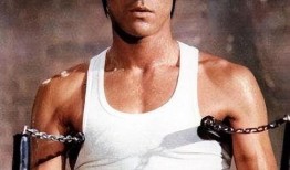 斗士李小龙在线观看,斗士传奇，在线重温不朽风采