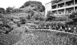 边城英烈在线观看,在线重温红色传奇