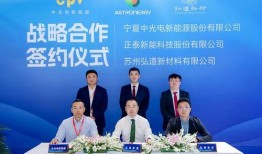 弘元新材爆料最新消息,揭秘行业变革背后的关键动态