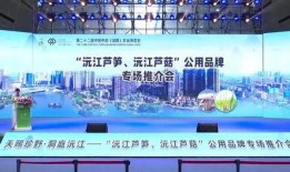 沅江新闻爆料,最新爆料揭示惊人真相