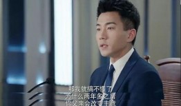 海归律师爆料视频,跨国法律实践内幕曝光