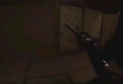 鬼叔爆料死门视频播放,死门视频播放背后的惊悚真相