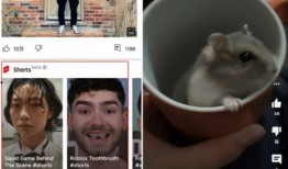 肥羊卷儿爆料原视频