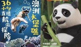 辛巴鹿爆料发声视频播放,揭秘背后真相与争议