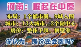 河南都市爆料1月4号视频,1月4日视频揭秘惊人内幕！”