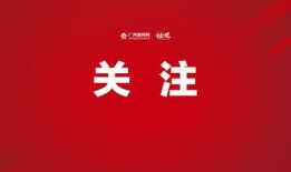 广西新闻媒体爆料,重大事件引发社会关注