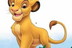 辛巴鹿爆料发声视频播放,揭秘背后真相与争议