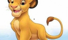 辛巴鹿爆料发声视频播放,揭秘背后真相与争议