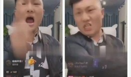 胜仔二爷爆料视频播放全集,事件真相与幕后黑幕