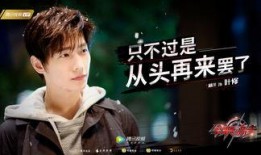 有关杨洋的爆料视频大全,揭秘明星背后的真实故事