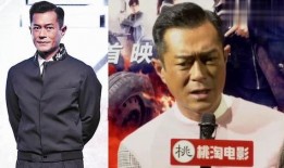 采访爆料类型视频,独家采访爆料视频深度解析