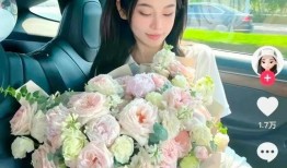 网红爆料秦奋视频播放,播放量惊人揭秘背后真相