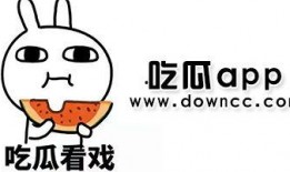 吃瓜大合集网红,网红圈的那些事儿