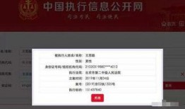 新闻爆料被执行人名单,涉及多领域