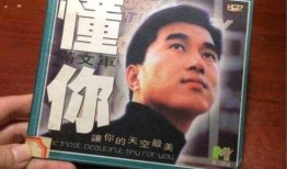 娱乐吃瓜酱中国人的爱国,中国人的爱国情怀与时代共鸣