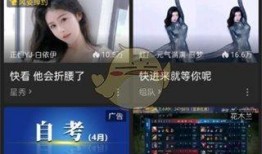 小象爆料虎牙直播回放视频,虎牙直播回放视频背后的精彩瞬间