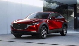 cx和wyb圈内爆料,揭秘娱乐圈幕后真相