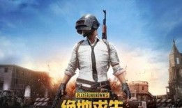 绝地求生二手游最新爆料,价格波动与热门游戏盘点