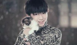 爆料明星事件王源视频在线观看,揭秘明星幕后生活瞬间