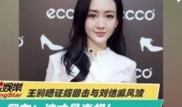 肖战倪妮最新爆料视频大全,精彩瞬间尽收眼底