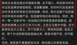 今日网红爆料,今日热门事件幕后真相