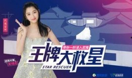 樊小辉爆料视频大全集,揭秘背后真相与精彩瞬间