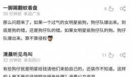 狗仔爆料被抓视频播放大全,揭秘娱乐圈幕后真相