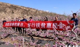 甘肃记者爆料抗疫新闻,纪实报道战“疫”风采