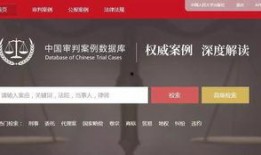 直播爆料审判案例最新,最新审判案例深度剖析