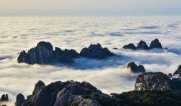 黄山爆料视频,壮美风光背后的故事