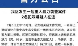 交警事故爆料流程视频播放,视频揭秘现场处理全过程