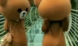 网红小熊吃瓜视频在线观看,萌态百出引网友热议