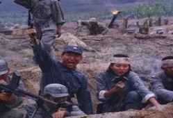 电视剧新四军在线观看,烽火岁月里的铁血传奇