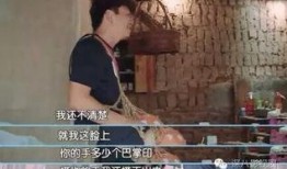 王宝强爆料老婆视频大全,真相与争议并存