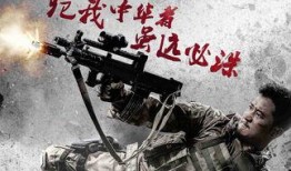 战狼2-在线观看,燃情热血，捍卫家国情怀的视觉盛宴