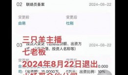 七老板视频谁爆料的,神秘爆料背后的真相