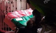 爱的果实手机在线观看,手机在线观看，甜蜜情感之旅