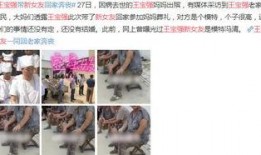 爆料王宝强的狗仔视频,揭秘明星私生活背后的真相