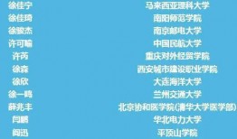 南阳迷笛爆料案件最新,揭秘迷笛音乐节突发事件的背后真相