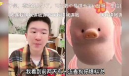 内娱搞笑爆料视频合集在线观看,欢乐无限在线观看