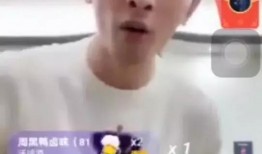 辛巴鹿爆料发声视频播放,揭秘背后真相与争议